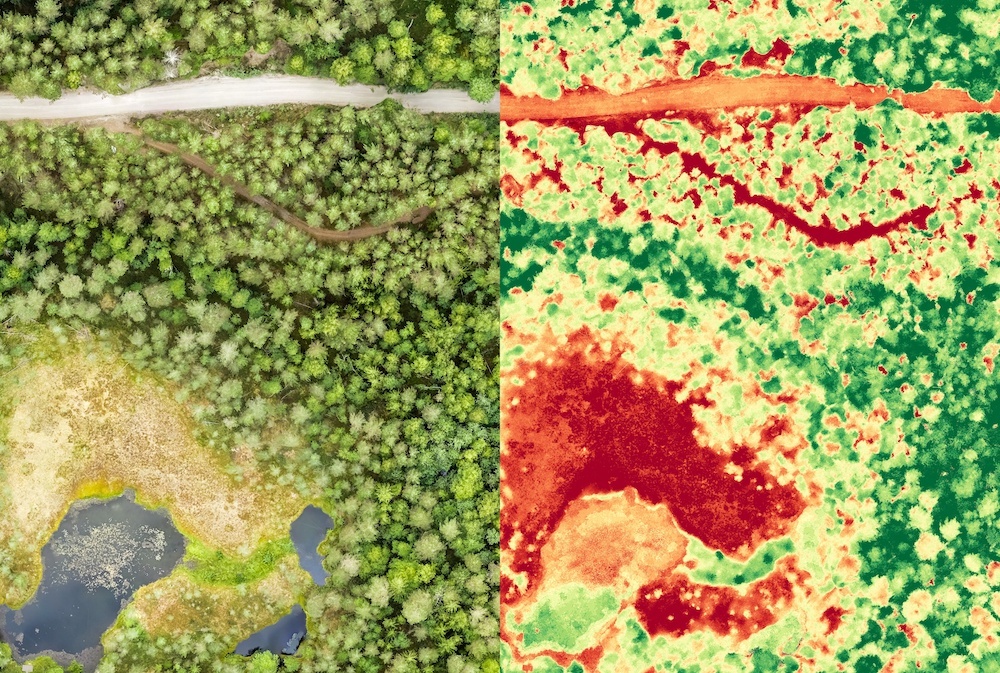 Satellitenaufnahme eines Waldes: links als Foto, rechts im Infrarotbereich, der Rückschlüsse auf die Vegetation erlaubt