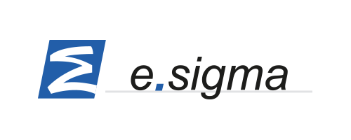 Esigma Technology Logo