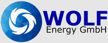 Wolf Energy logo